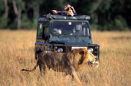 Masai Mara Game Drive.