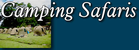 Kenya Budget Camping