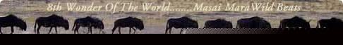 Masai Mara Wildebeest Migration Safari Is  8th Wonder Of The World